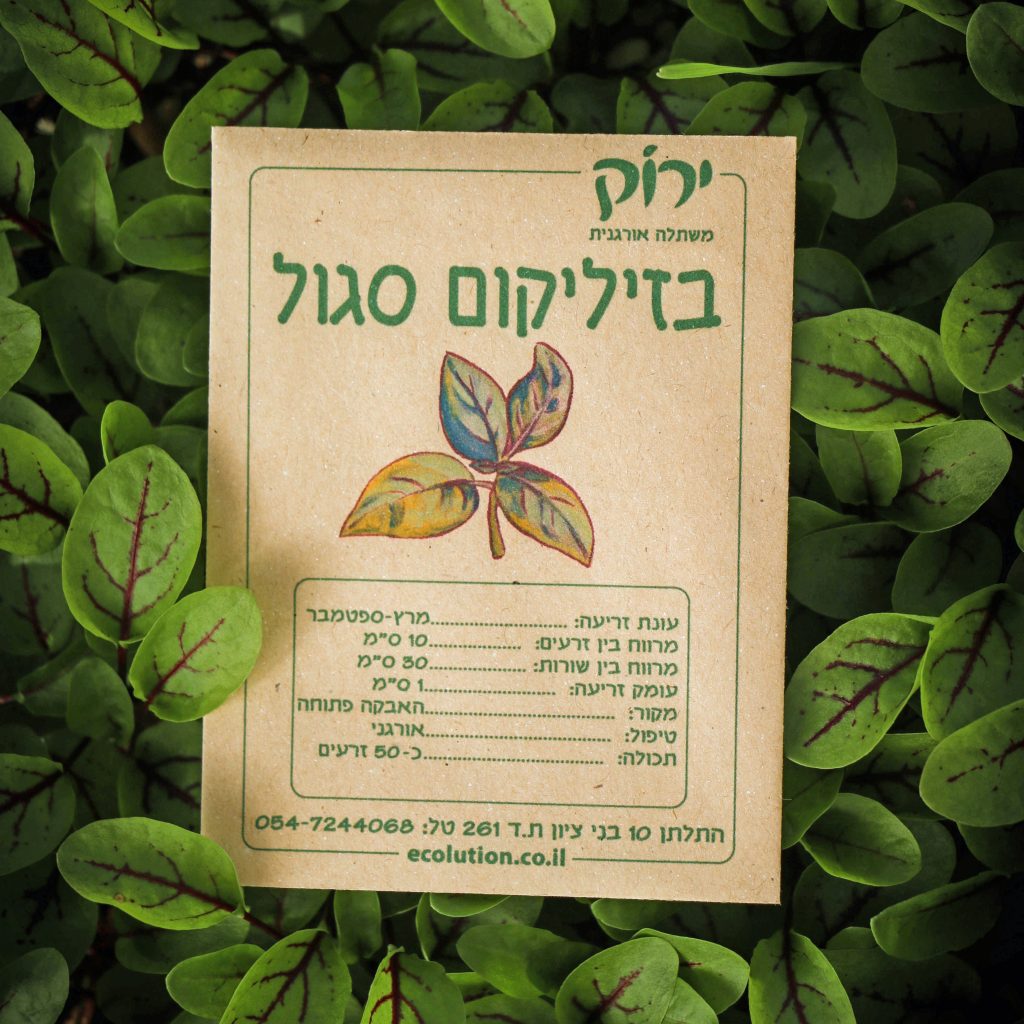 בזיליקום סגול