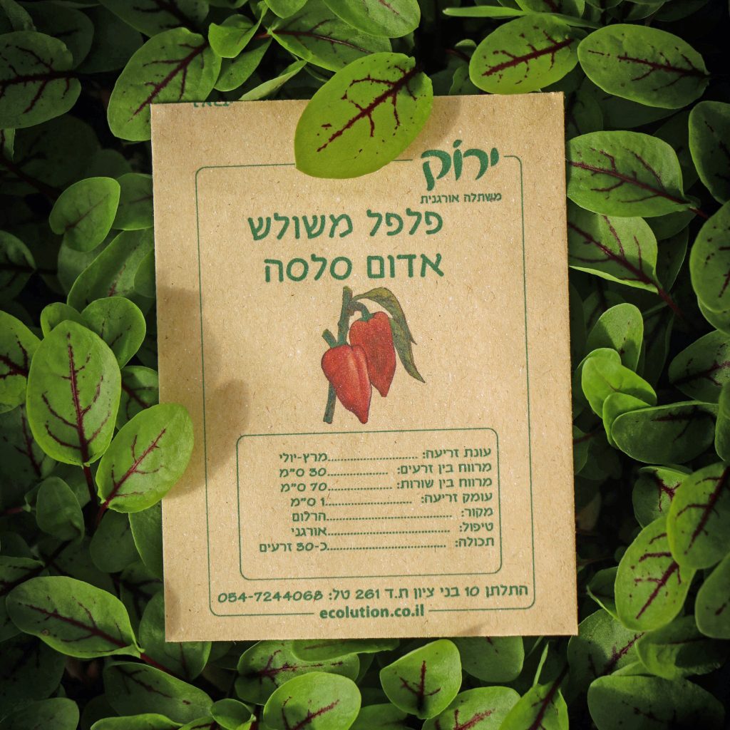פלפל משולש אדום_קרופ