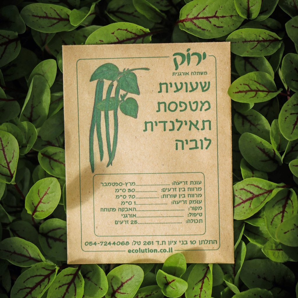 שעועית מטפסת לוביה_קרופ