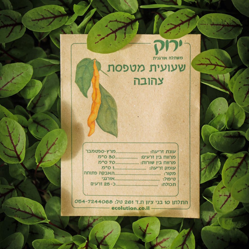 שעועית מטפסת צהובה_קרופ