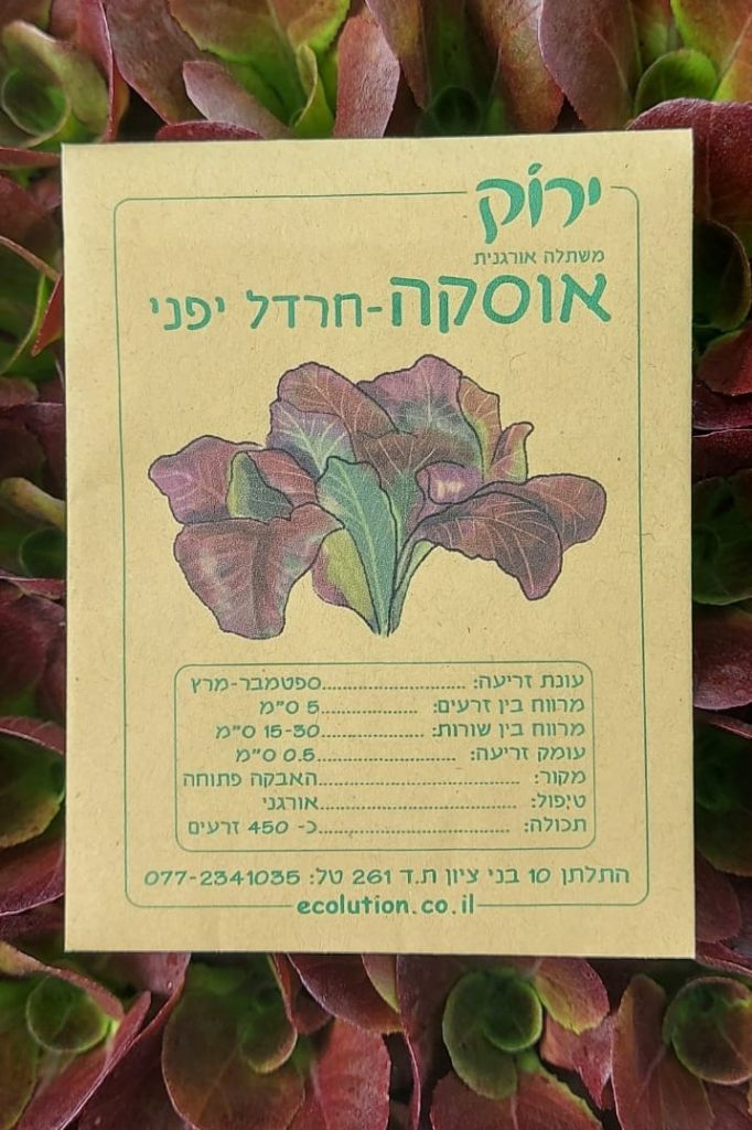 אוסקה