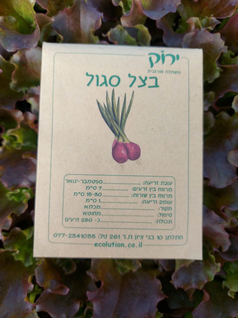 בצל סגול מחוטא