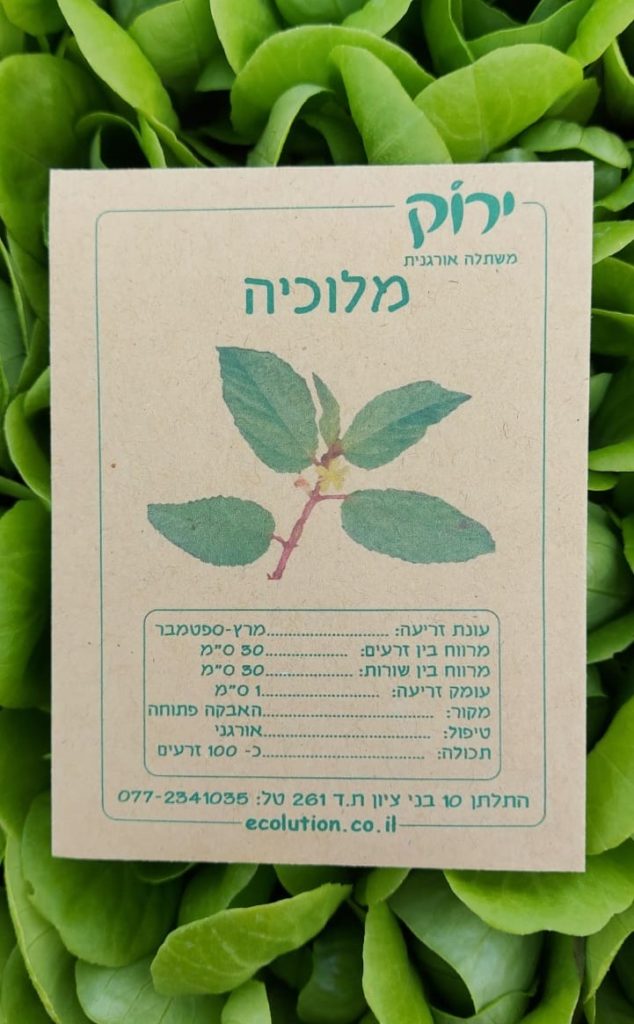 מלוכיה