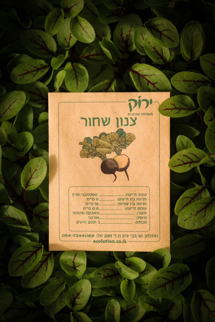 צנון שחור