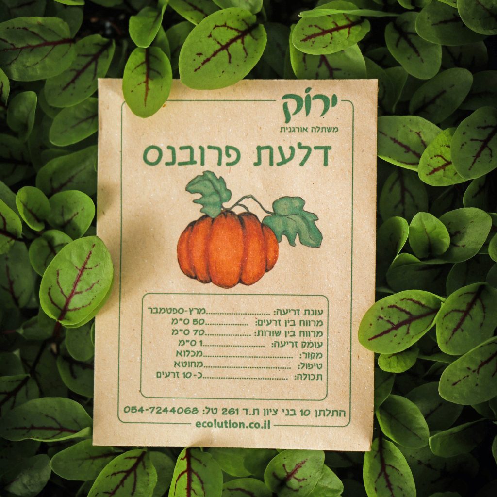 דלעת פרובנס_קרופ