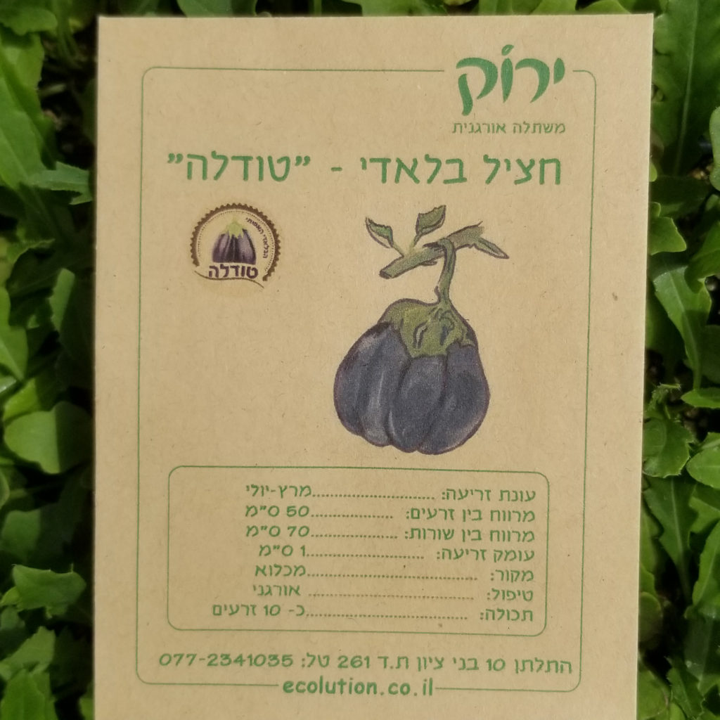חציל טודלה