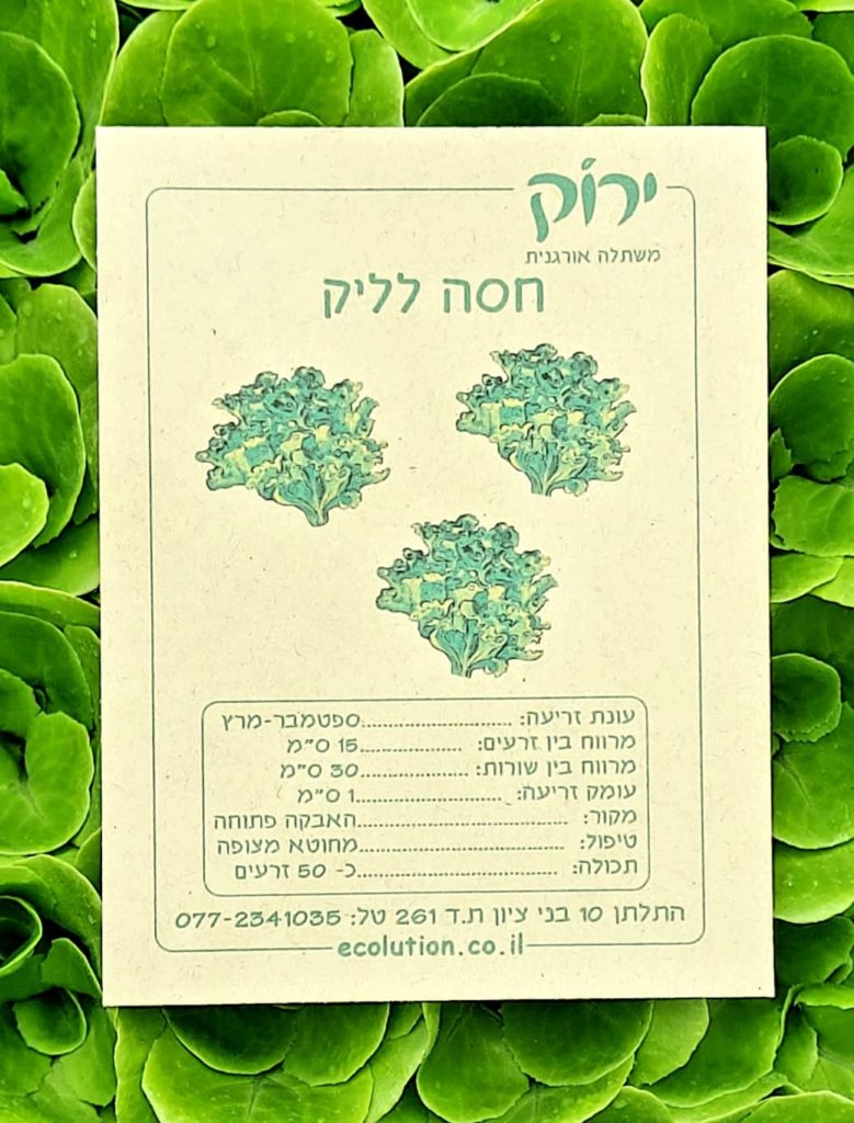 חסה לליק