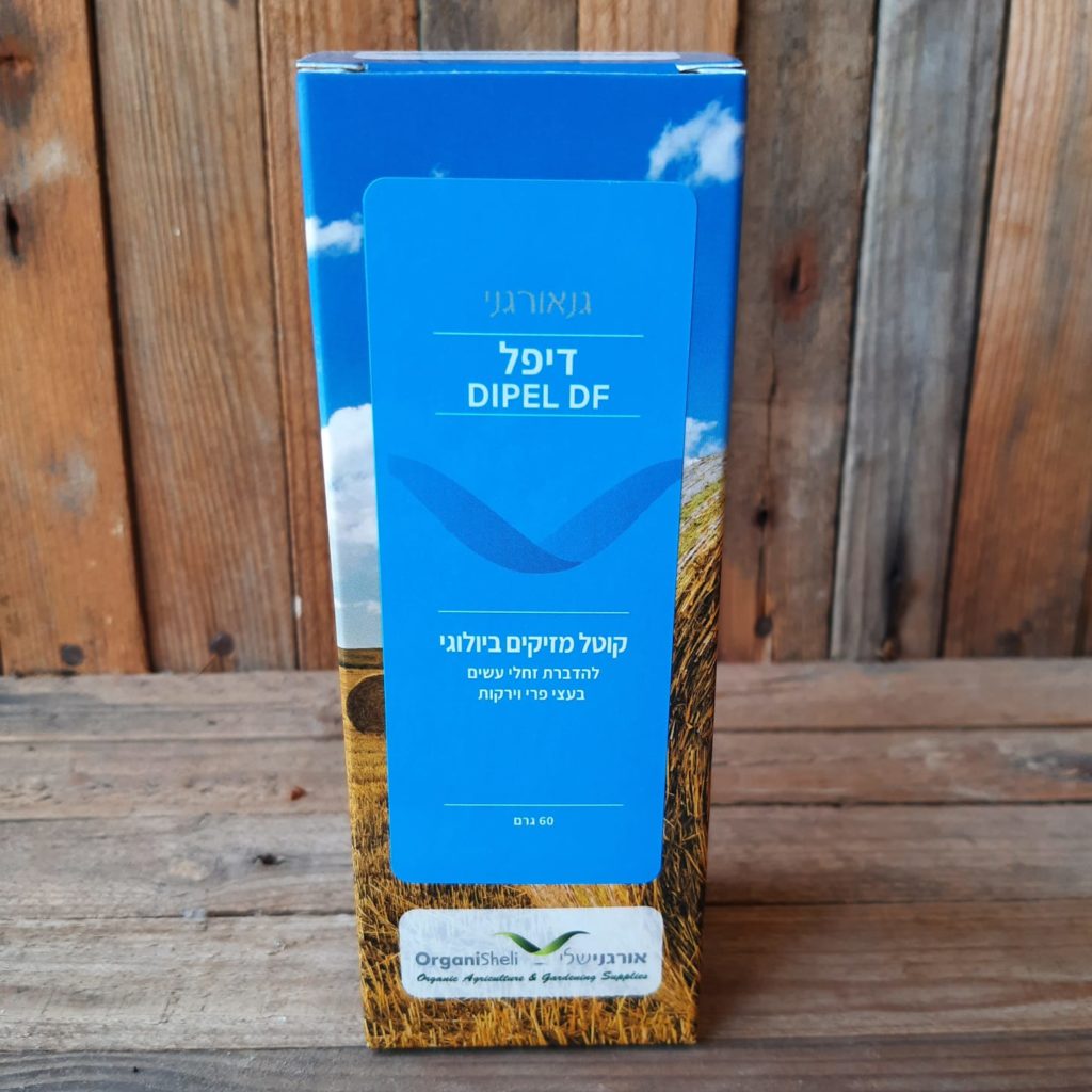 דיפל